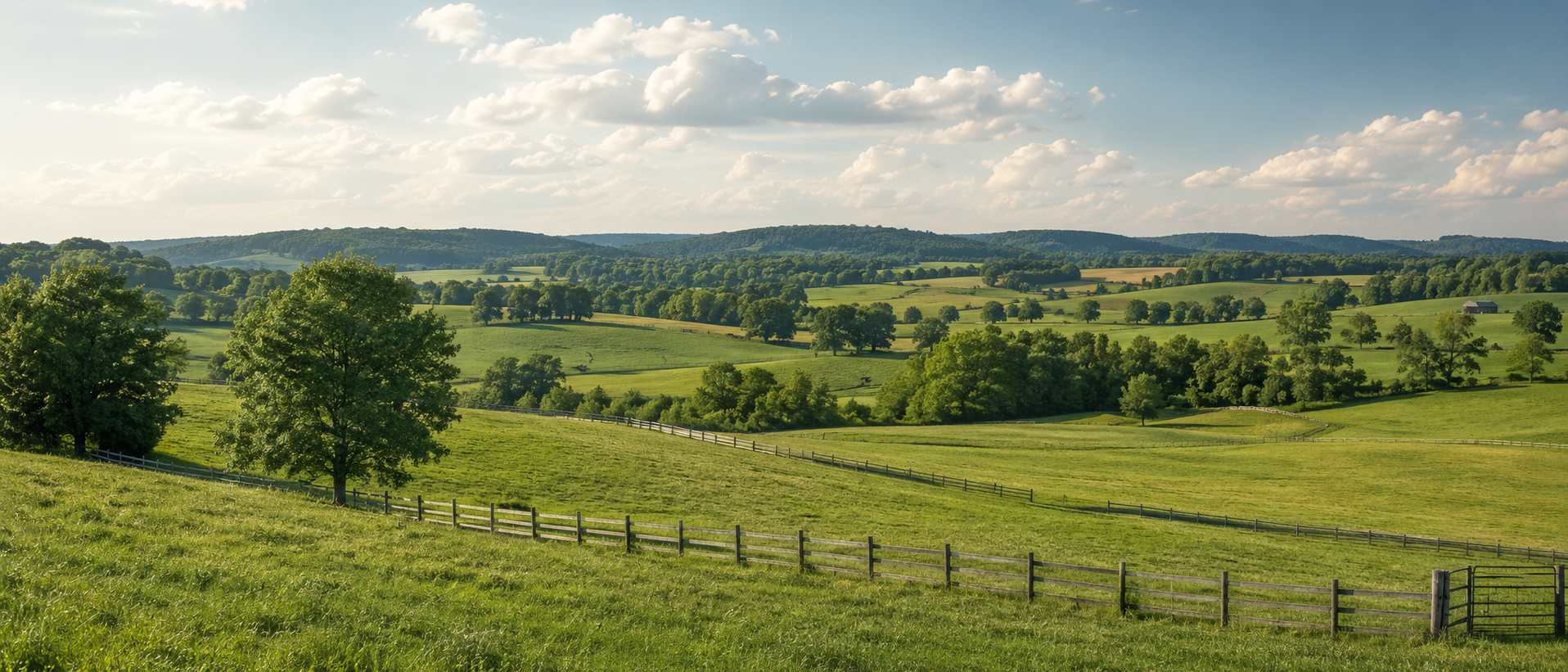 Open land at golden hour