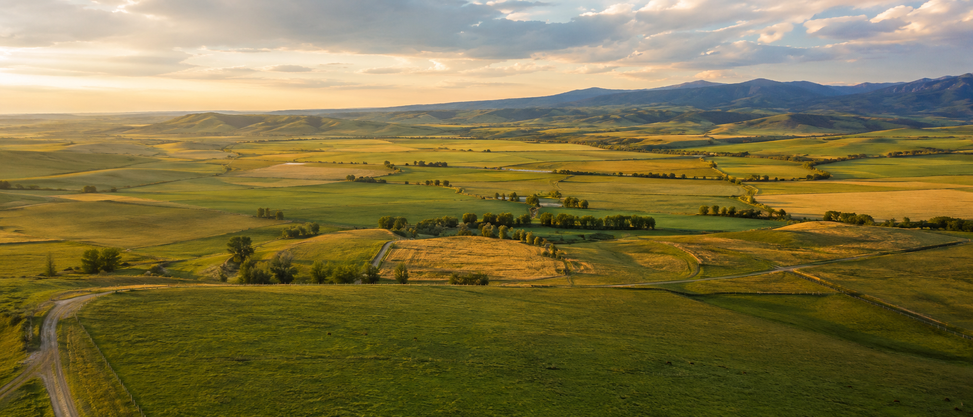 Aerial view of rural land parcels at golden hour